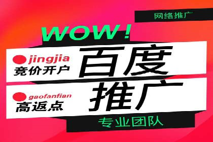 百度竞价排名策略优化：某公司广告投放效果翻倍的秘诀